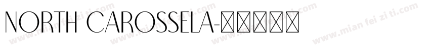 North Carossela字体转换